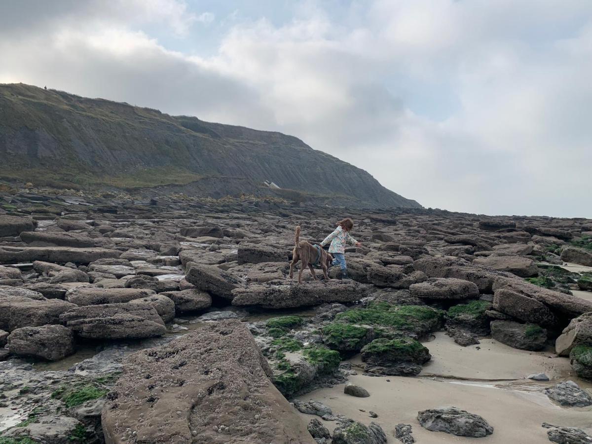 Fl’Heurt de Mer appartement au pied de la plage, vue mer Le Portel Eksteriør bilde